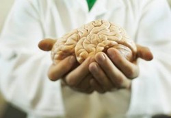 7 Isi Otak Perempuan