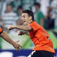 Kelelawar Terbang Tinggi