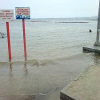 Ribuan Ikan Mati Mendadak, Warga Diimbau Tak Berenang di Ancol