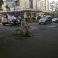 Lubang di Jalan Dipatikur Dipasangi Pohon