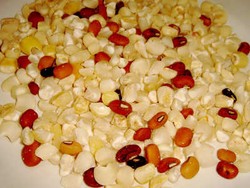 Jagung Bose: Karbo Sehat Rakyat Timor