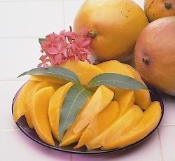 Memilih Mangga untuk Dessert