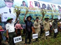 Panen Raya Kedelei Hitam di Ngawi