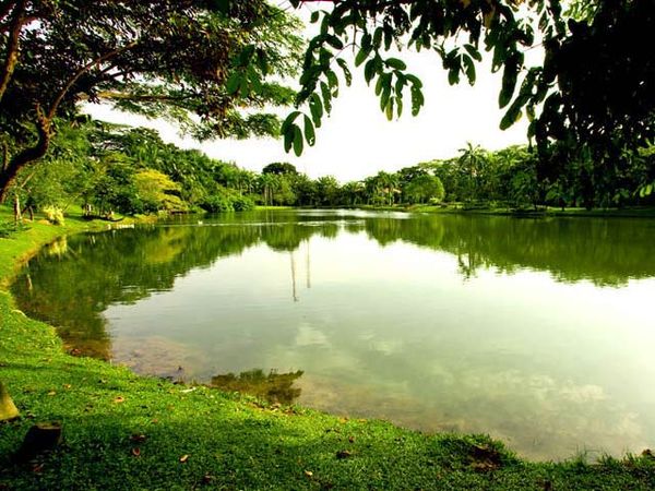 Keramahan Alam di Sentul