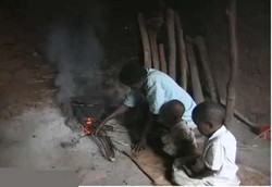 2 Juta Orang Terbunuh Akibat Memasak dengan Kayu Bakar