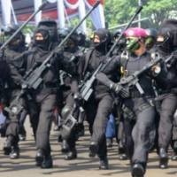 TNI Diminta Lawan Teroris, Tak Cuma Pegang Cangkul Urusi Bencana Alam