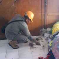 Semburan Setinggi 10 Cm Genangi Rumah Warga di Porong 