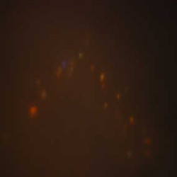 Lapan: Tak Ada Fenomena Antariksa Titik Warna-warni 