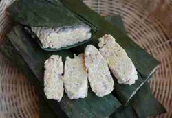 Yoghurt Tempe Mampu Turunkan Kerusakan Hati