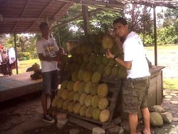 MakNyus Ala Petualang ACI