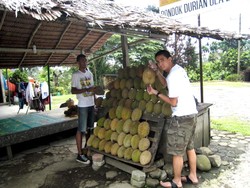 Jejak Pertama di Tanah Sumatera