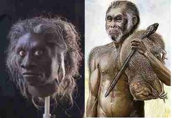 Manusia Hobit di Flores Mengecil Karena Kekurangan Yodium