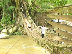 Menyeberangi Jembatan Akar nan Eksotik