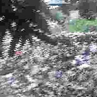 Hentikan TPA Sampah di Area Tranka Kabel Cimanggis Depok