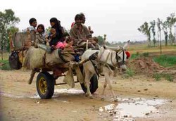 Orang Miskin Sebaiknya Membatasi Jumlah Anak