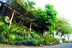 Naik Turun Grojogan Sewu dengan Keindahan Air Terjunnya