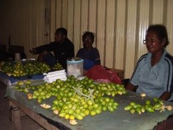 Ssttt, Dilarang Makan Pinang di Bandara Jayapura