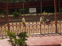 Pulau Lingga, Pulau-nya Saksi Sejarah
