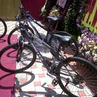 Sepeda Made in Citeureup Tembus Pasar Eropa