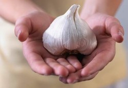 Kekebalan Tubuh Oke dengan 8 Nutrisi