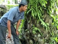 Baku Tembak Polisi dengan Perampok