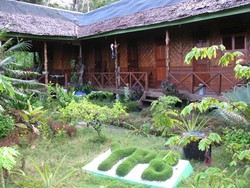 Konservasi Penyu di Pulau Bangkaru