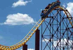 Penelitian Roller Coaster dan Jenggot yang Mengejutkan
