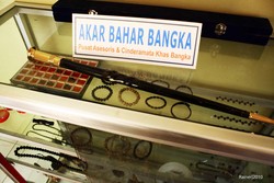 Akar Bahar, Souvenir Hewan Laut Si Penangkal Racun 