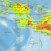 Kemenkes: Korban Tewas Banjir Bandang di Wasior Papua 29 Orang