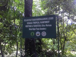 Menjelajah Gurah Ketambe