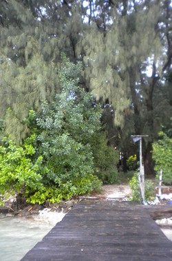 Pulau Pramuka, Kenapa Tidak?