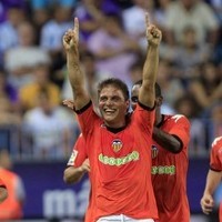 Kelelawar Ingin Terbang Hingga Batas Langit