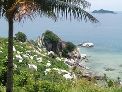 Suguhan Eksotik, Dari Bukit Tanjung Senubing dan Pantai Tanjung