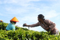 Temukan Keindahan Pagi di Pagaralam
