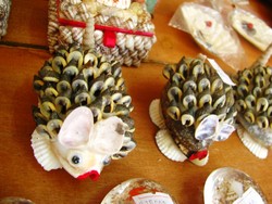 Jelajah Soft Coral di Pulau Semak Daun