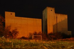 Kicauan Malam Burung Walet di Riau