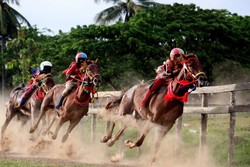 Memacu Adrenalin bersama Joki Cilik di Dompu