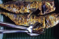 Ikan Bakar yang Kering