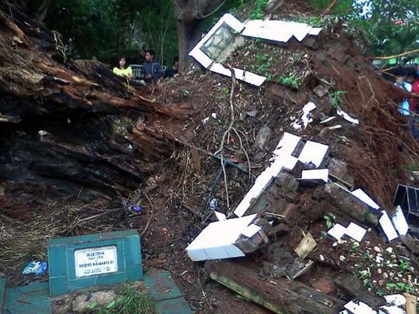 Pohon Besar di TPU Tumbang