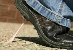 Permen Karet Antilengket Siap Beredar