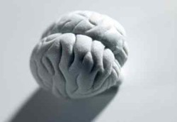 Yang Mengejutkan dari Otak Manusia