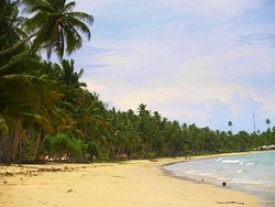 Gado-Gado dan Lemper Ikan di Ranai