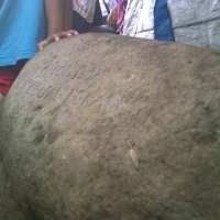 Balai Arkeologi Bentuk Tim Teliti Temuan Prasasti di Tamansari