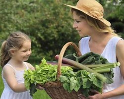 3 Langkah Mudah Memulai Gaya Hidup Go Green