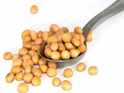 Kedelai Kurangi Nyeri Sendi