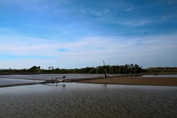 Bertani di Pulau Garam  