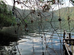 Pohon Berbuah Batu Harapan di Tepi Danau Satonda