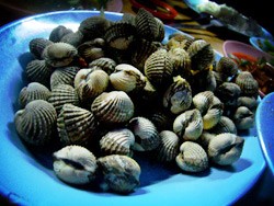 Memasak Kerang Segar