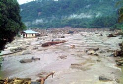 Korban Banjir Wasior: Air Itu Bak Tsunami 