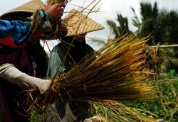 620 Menuju Kawah Galunggung
